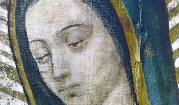 imagen de la virgen de guadalupe - Natividad de la Virgen María